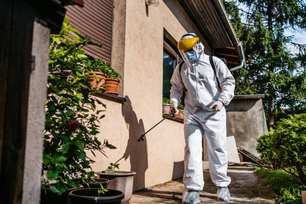 Best Spider Control Near Me  in Bunker Hill, OR