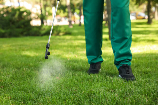 Best Affordable Pest Control Services  in Bunker Hill, OR