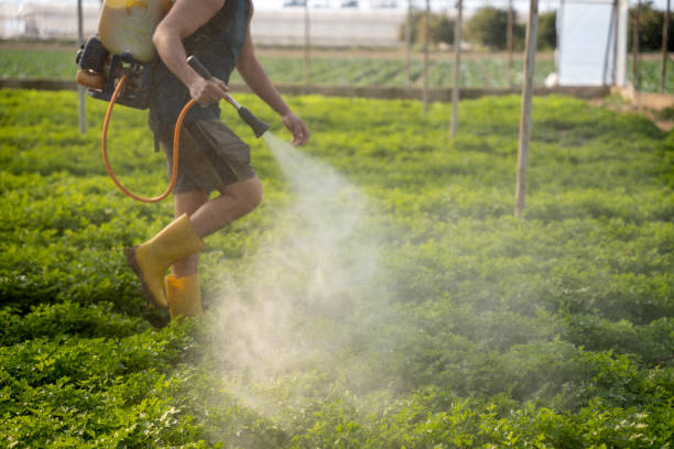 Best Wasp Removal Services  in Bunker Hill, OR