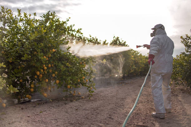 Best Cockroach Control Services  in Bunker Hill, OR