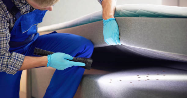 Best Best Pest Control Near Me  in Bunker Hill, OR