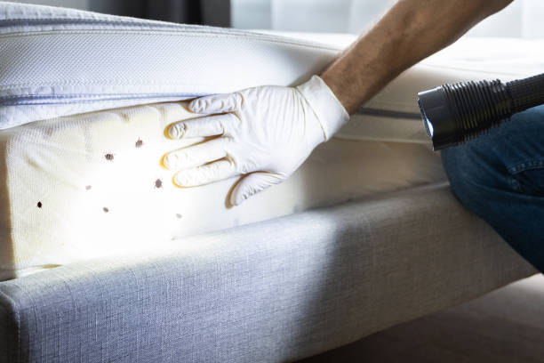 Flea Control Services in Bunker Hill, OR