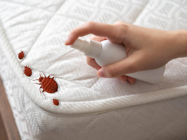 Best Commercial Pest Control Services  in Bunker Hill, OR