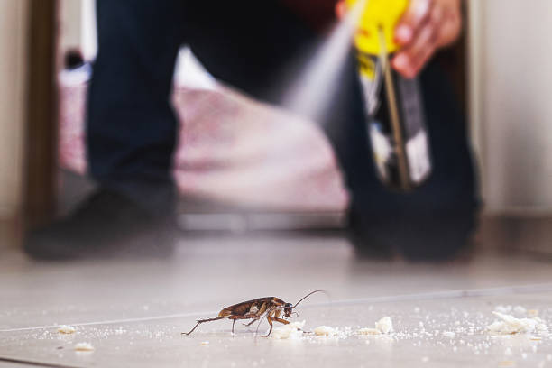 Professional Pest Control in Bunker Hill, OR